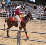 Kölner Rodeo 2009 Bild Rodeo