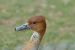 Ein Besuch im Kölner Zoo 2010 bild Zoo