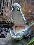 Bilder aus dem Wuppertaler Zoo 2005 Zoo Wuppertal 2005
