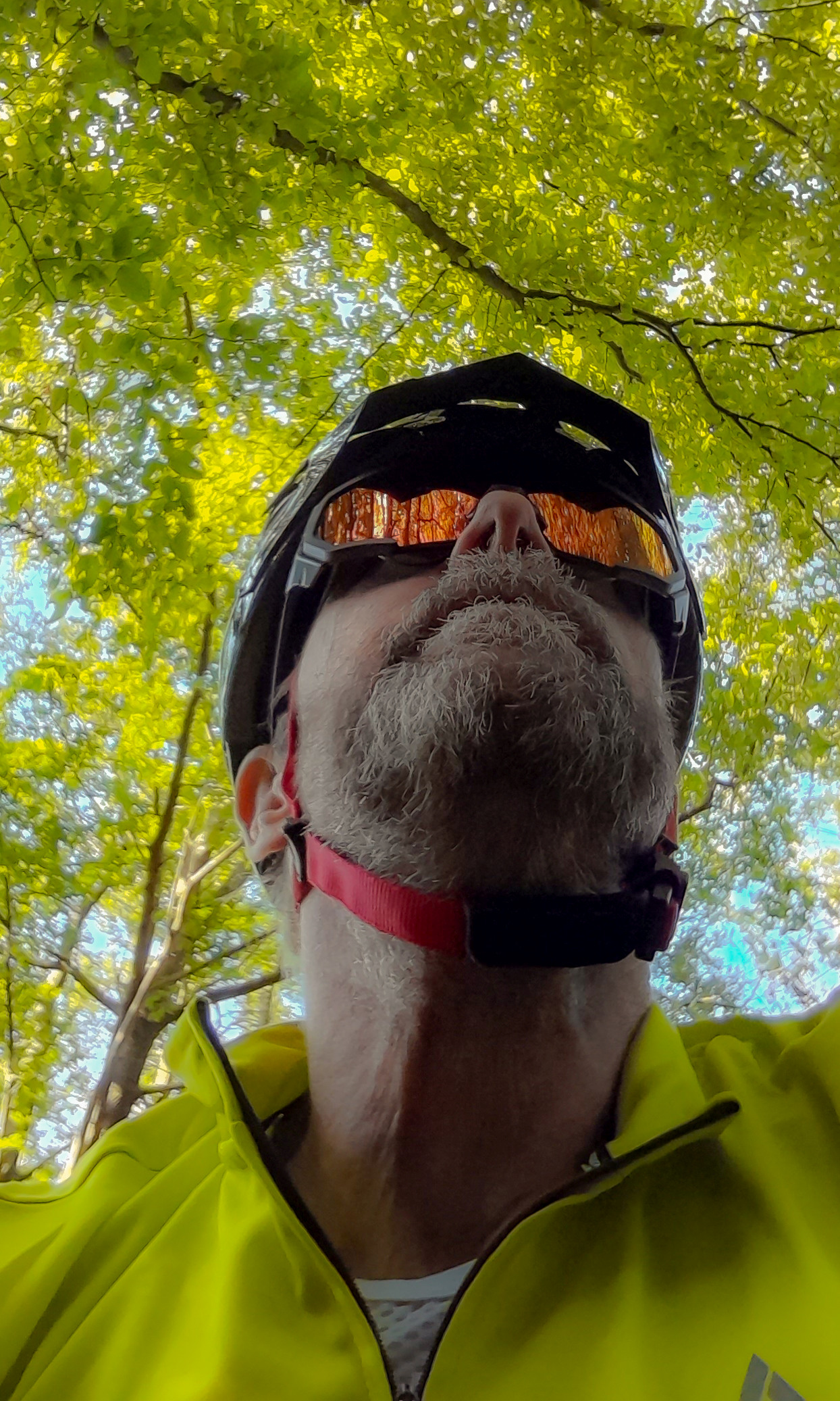 Fahrradtour durch den wald