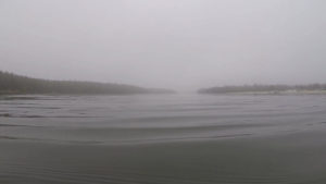 Nebel auf dem Otto-Maigler-See im Januar