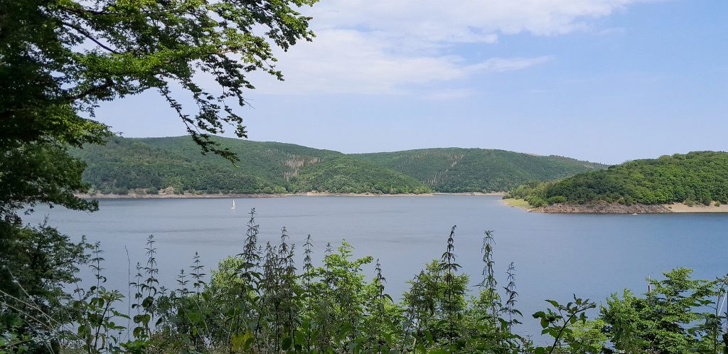 Ein Blick auf den Rursee von eschauel aus